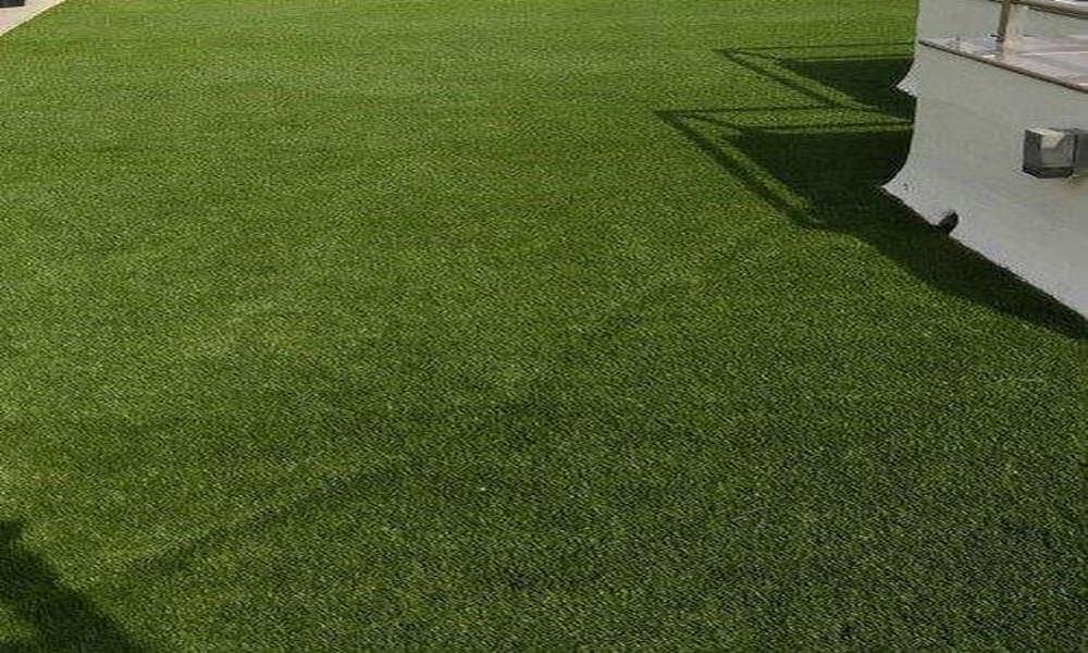 Latest Developments in Artificial Grass