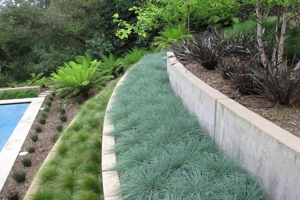 The Important of Building a Terraced Garden_3